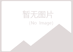 阜城县向雪化学有限公司